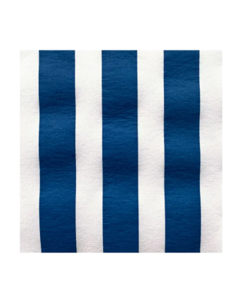 Blue Stripe Disposable Napkin Pack