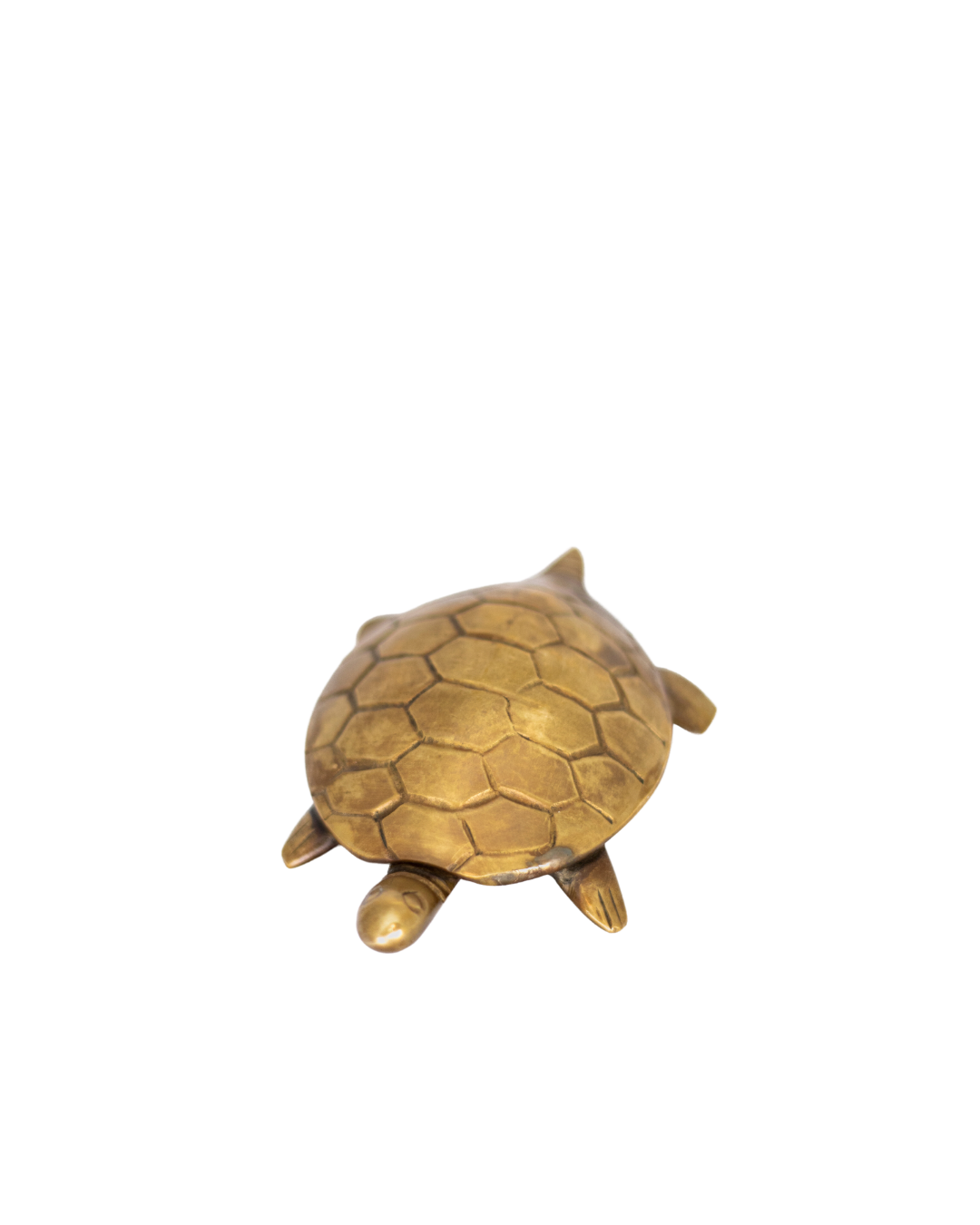 Golden Turtle Bottle Opener
