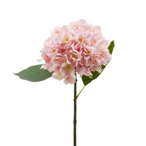 Hydrangea Pink 48cm
