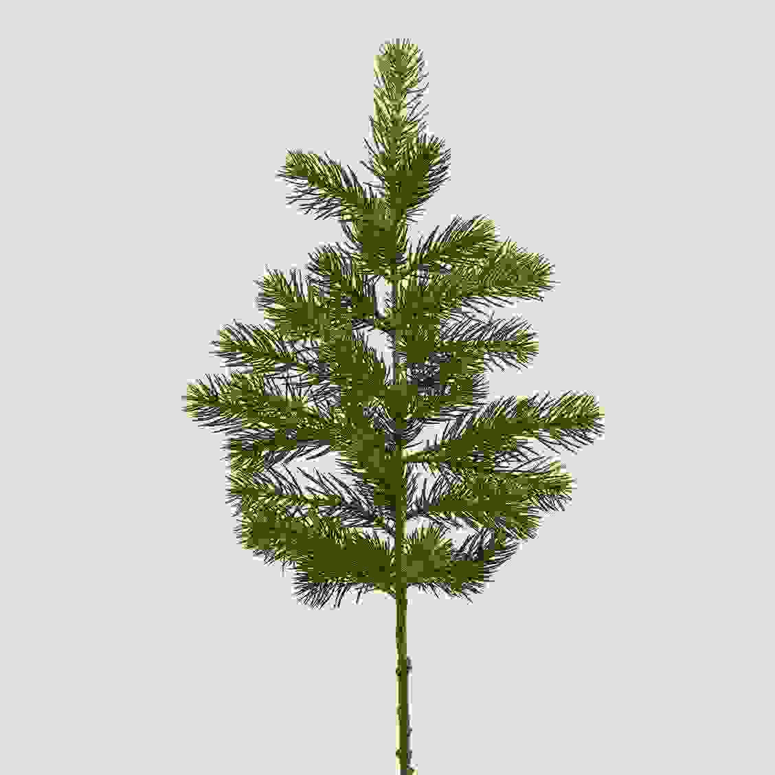 Pine Branch (88cm)