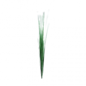 Grass Bunch 70cm