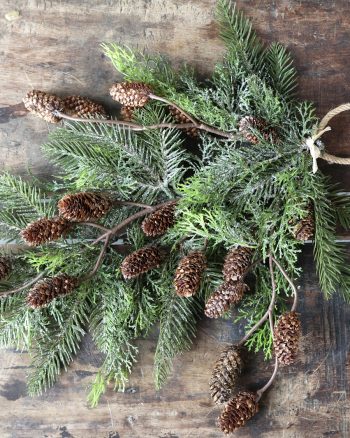 Fir Hanging Branch With Cones