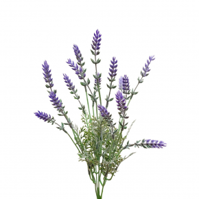 Lavender Stem 40cm