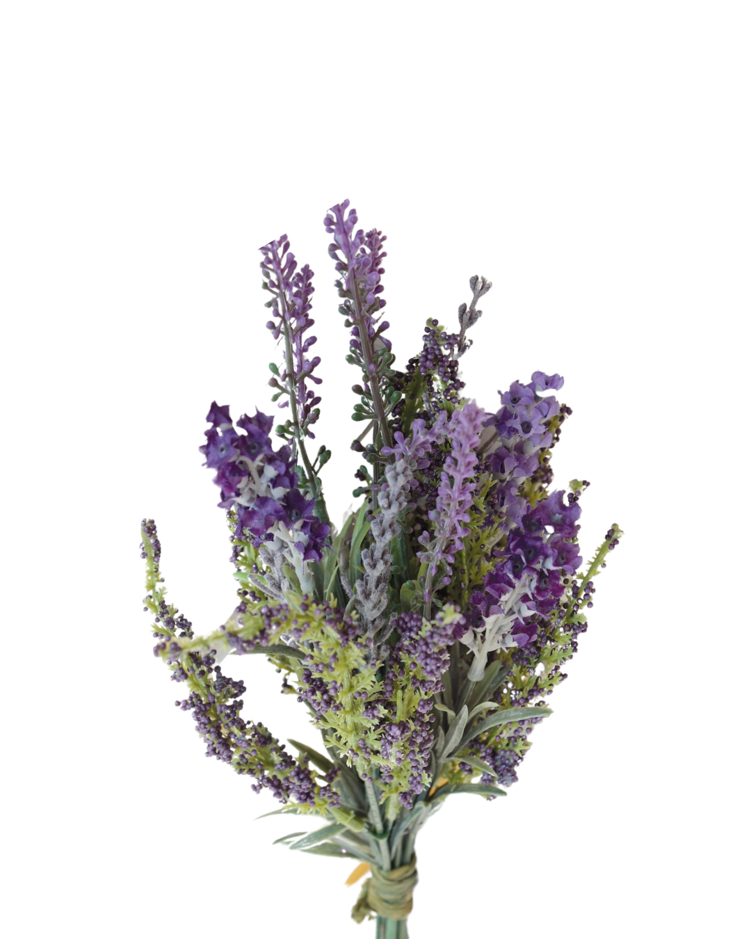 Astilbe Lavender 28cm